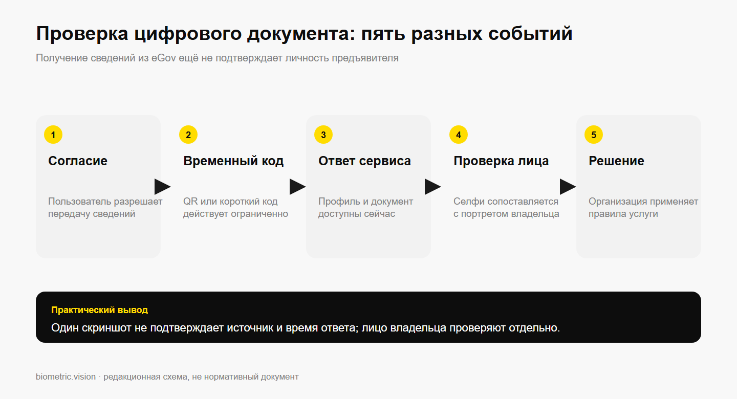 Пять этапов проверки цифрового документа: согласие, временный код, ответ сервиса, проверка лица и решение